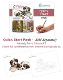 CP Surfaces: Pastelmat Quick Start Pack