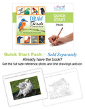 DRAW Birds Quick Start