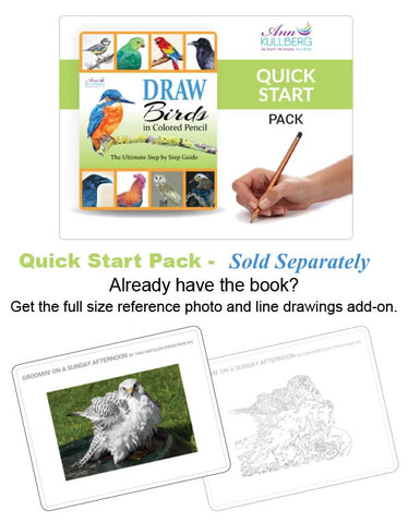 DRAW Birds Quick Start