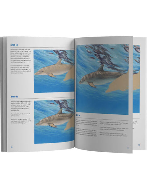 Dolphins In-Depth Colored Pencil Project Kit