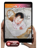 February 2021 - Ann Kullberg's COLOR Magazine - Instant Download