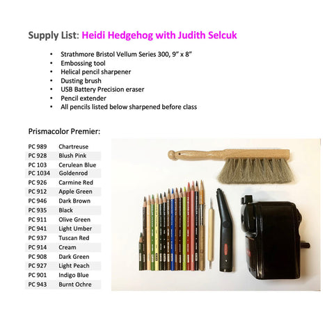 Video Workshop: Heidi the Hedgehog with Judith Selcuk