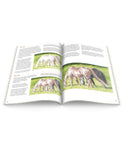 Grazing Horses: In-Depth Tutorial