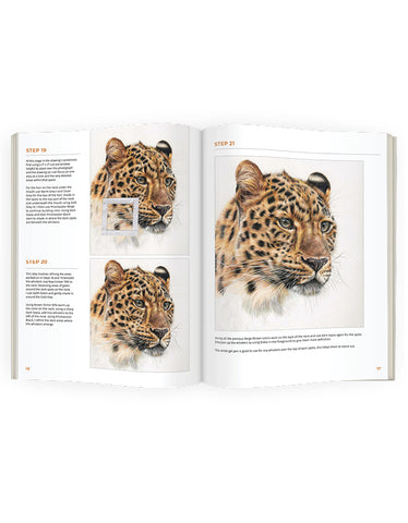 Leopard: In-Depth Colored Pencil Tutorial