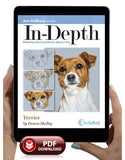 Terrier: In-Depth Tutorial