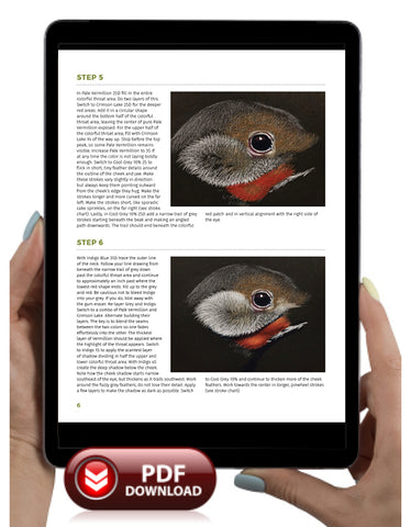 Woodpecker: In-Depth Colored Pencil Tutorial