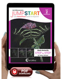 Jumpstart Level 2: Black Butterfly