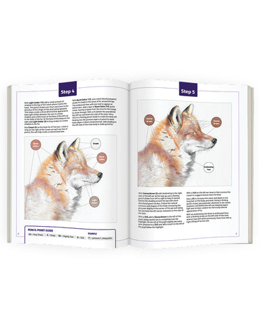 Jumpstart Level 2: Fox