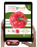 Jumpstart Level 2: Red Pepper in Colored Pencil