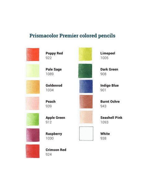 Prismacolor Technique, Art Supplies with Digital Art Lessons, Level 1  Bundle, 47 in 2023