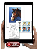 Bay Horse Colored Pencil Project Kit