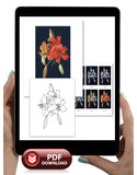 Day Lily Colored Pencil Digital Download Project