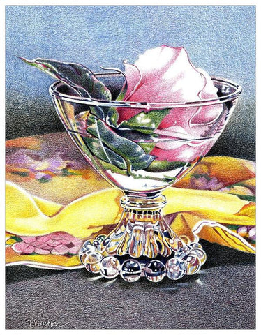 Glass & Flower Colored Pencil Project Kit