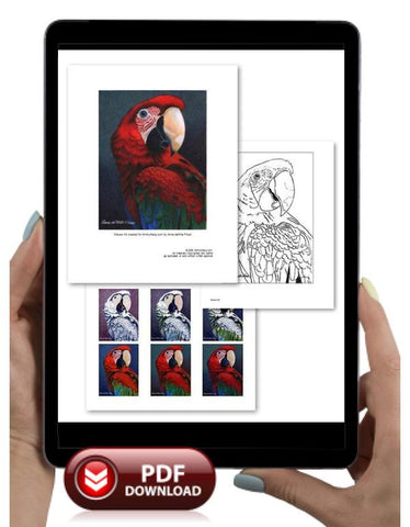 Macaw Colored Pencil Project Kit