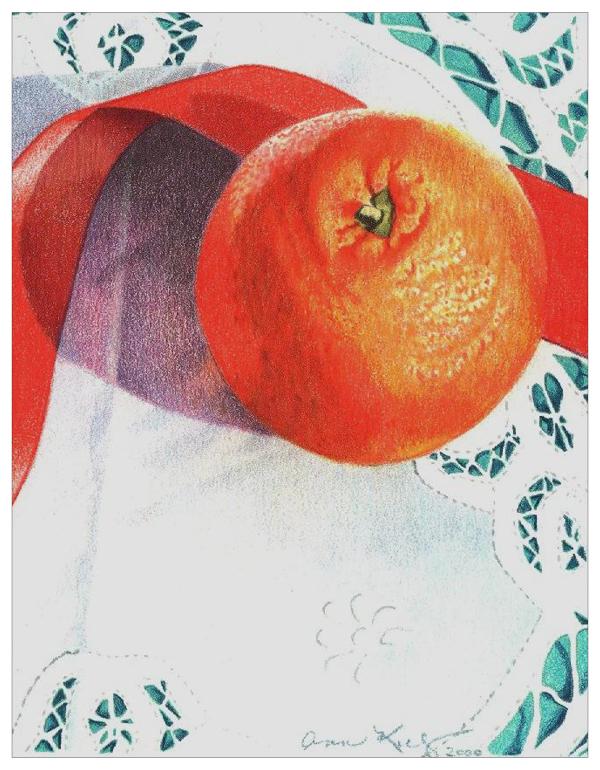 Orange and Lace Colored Pencil Project Kit