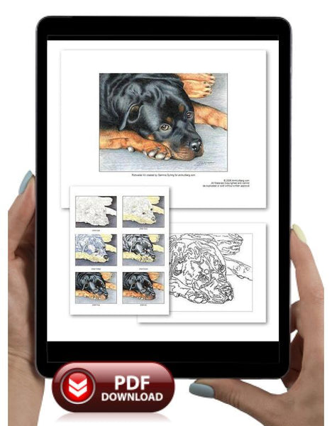 Rottweiler Colored Pencil Project Kit | Annkullberg.com