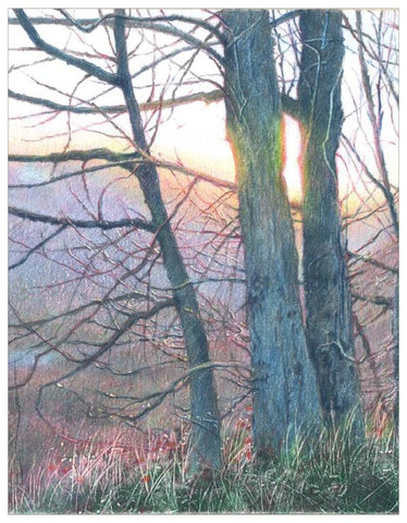 Sunrise Colored Pencil Project Kit
