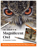 Magnificent Owl: In-Depth Colored Pencil Tutorial