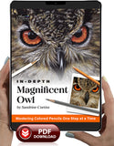 Magnificent Owl: In-Depth Colored Pencil Tutorial