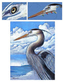 Mark Menendez: Great Blue Heron Colored Pencil Tutorial