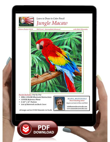 Mark Menendez: Jungle Macaw Colored Pencil Tutorial
