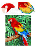 Mark Menendez: Jungle Macaw Colored Pencil Tutorial