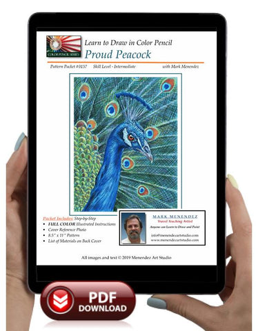 Mark Menendez: Proud Peacock Colored Pencil Tutorial
