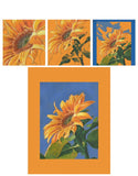 Mark Menendez: Sunflower Colored Pencil Tutorial