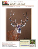 Mark Menendez: White Tail Buck Colored Pencil Tutorial