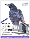 Ravishing Raven: In-Depth Colored Pencil Tutorial