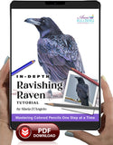 Ravishing Raven: In-Depth Colored Pencil Tutorial