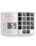 September 2020 - Ann Kullberg's COLOR Magazine - Instant Download