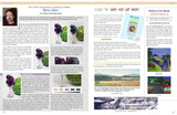 CP Magazine - April through June 2011 Bundle - Instant Download