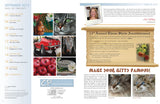 CP Magazine - July thru September 2012 Bundle - Instant Download