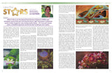 CP Magazine - October thru December 2012 Bundle - Instant Download