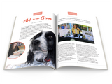 January 2017 - Ann Kullberg's COLOR Magazine - Instant Download