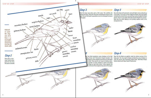 July 2015 - Ann Kullberg's Colored Pencil Magazine - Instant Download