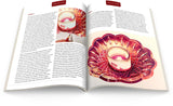 June 2017 - Ann Kullberg's COLOR Magazine - Instant Download