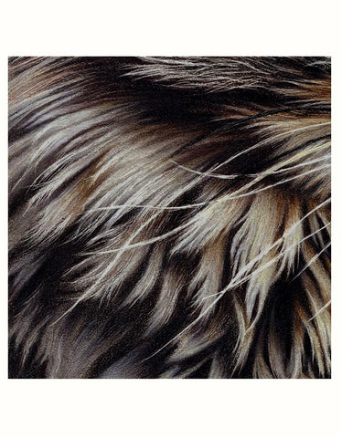 Long Animal Fur - Jelly Bean Class with Gemma Gylling