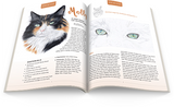 November 2017 - Ann Kullberg's COLOR Magazine - Instant Download