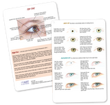 smART Card Eye Set - Portrait Guide