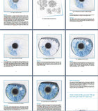 Ultimate Guide to Drawing an Eye
