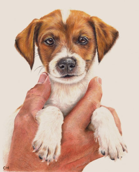 The Pencil Box - Featured Artists - July 2026