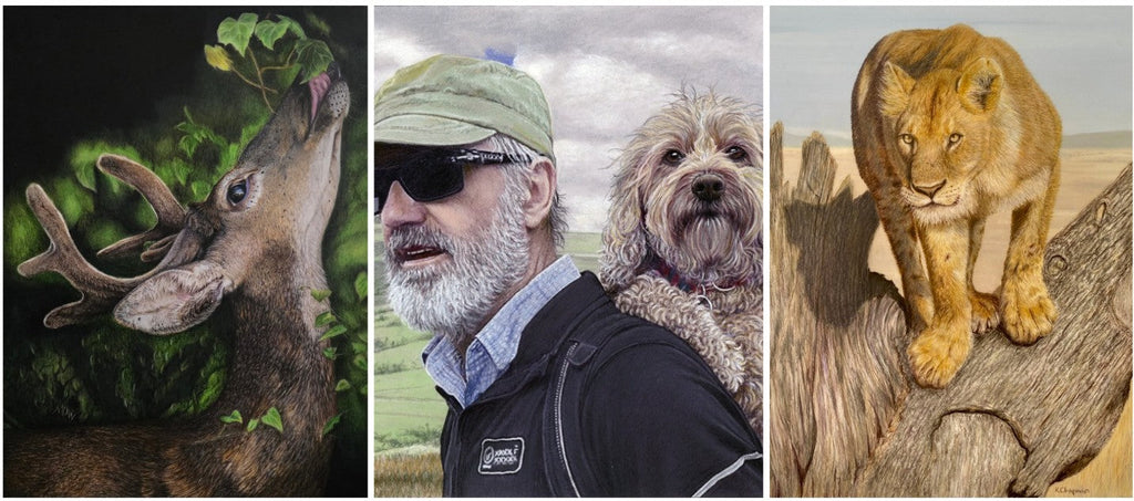 June 2026 Showcase - Colored Pencil Artwork