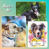 Video Workshop: Drawing Your Furry Best Friend - German Shepherd Edition Pajama Class with Aimee Croteau