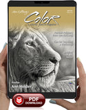 April 2026 - Ann Kullberg's COLOR Magazine - Instant Download