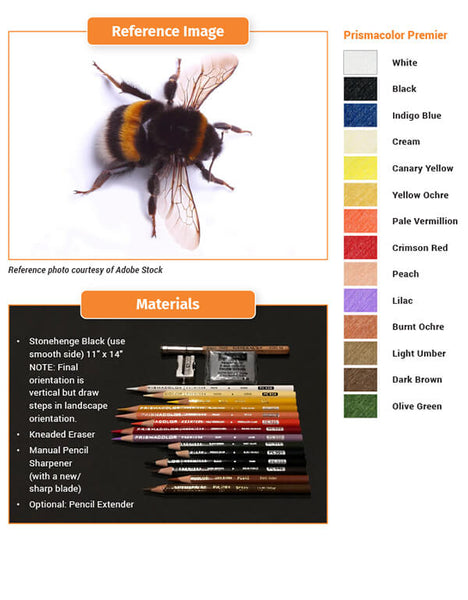 Jumpstart Level 3: Critters: Bee | annkullberg.com