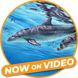 Video Workshop: Dolphins - Pajama Class with Leontine van Vliet