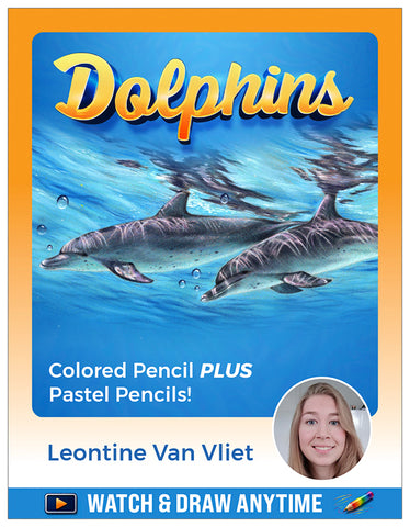 Video Workshop: Dolphins - Pajama Class with Leontine van Vliet