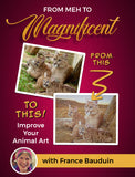 From Meh to Magnificent - Improve Your Animal Art - Jelly Bean Class with France Bauduin